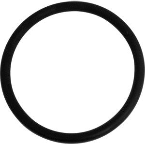 Didiesse Portafilter Gasket